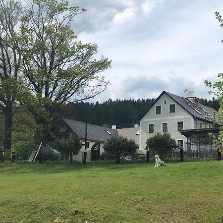 Apartmán Malšín Exterior foto